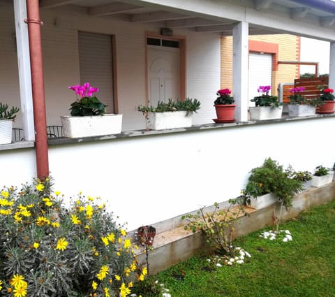 Patio, Facade/entrance