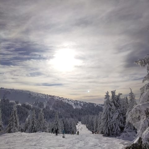 Ljubica Apartment in Serbia