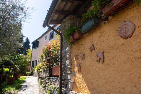 Property building, Garden, Garden view