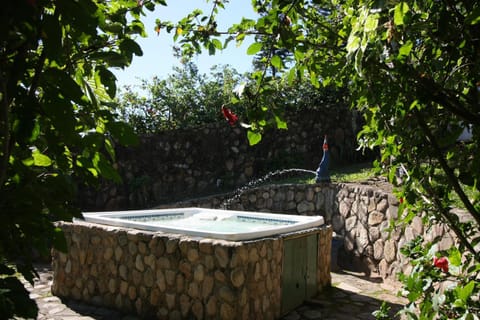 Day, Garden, Garden view, Open Air Bath