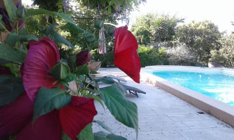 Pool view