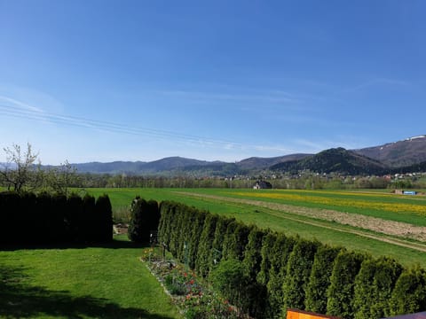 Natural landscape, Garden