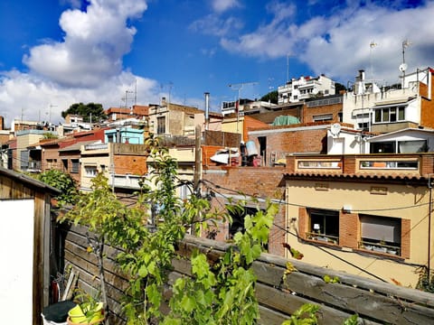 Neighbourhood, Street view