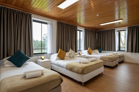 Bed, Photo of the whole room, Decorative detail, Bedroom, towels