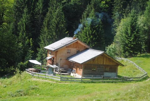 Spring, Natural landscape, Summer, On site