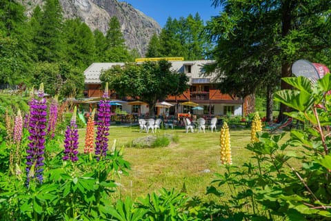 Property building, Garden view