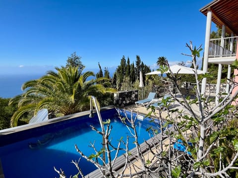 Property building, Day, Natural landscape, Garden, Garden view, Pool view, Sea view, Swimming pool, sunbed