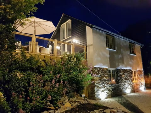 Bossiney Cove Cottage Apartment in Tintagel