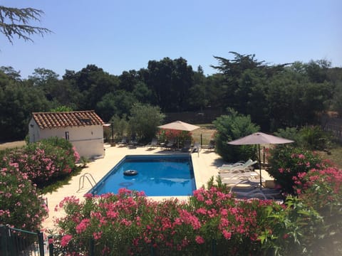 Pool view, Swimming pool, Swimming pool