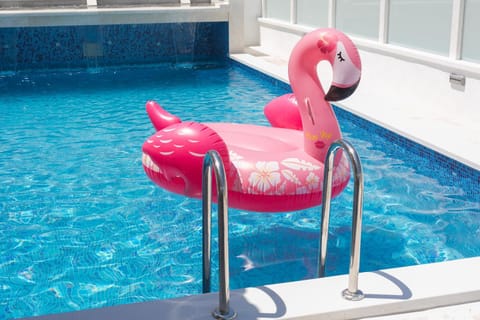 Swimming pool, Swimming pool