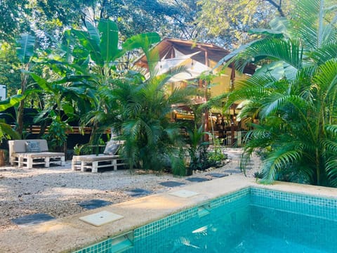 Garden view
