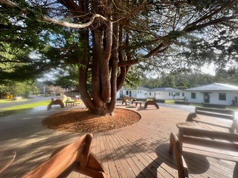 Giants Table and Cottages Nature lodge in Maydena