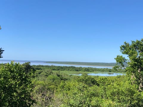View (from property/room), Lake view