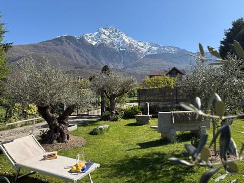 Casa Unica- da Bruno Apartment in Colico