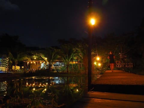 Garden view