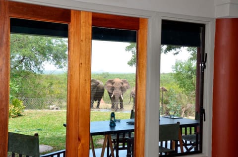 View (from property/room), Animals, On site