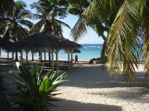 Natural landscape, Beach