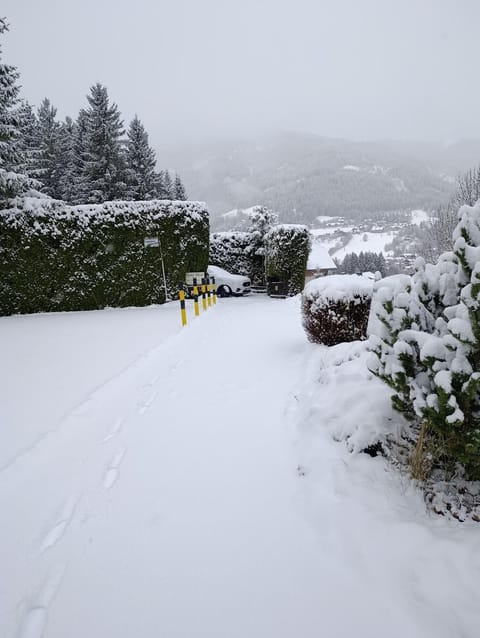 Chalet Heidi BKK Chalet in Carinthia, Austria