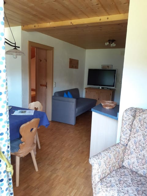 Living room, kitchen