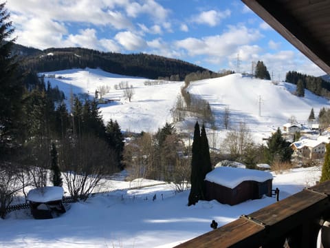 Winter, Balcony/Terrace, Garden view, Mountain view