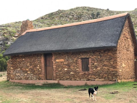 Meijer's Rust Farm Stay in Western Cape