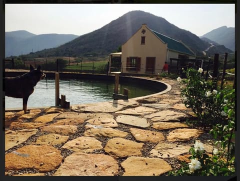 Meijer's Rust Farm Stay in Western Cape