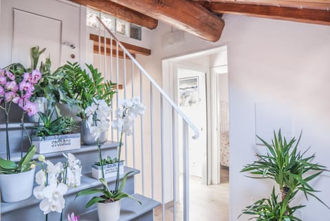 Cascine Home Holidays Apartment in Florence