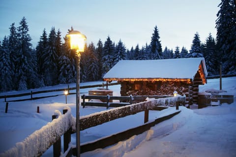 Winter, Spa and wellness centre/facilities