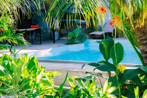 Garden, Garden view, Pool view, Swimming pool, sunbed
