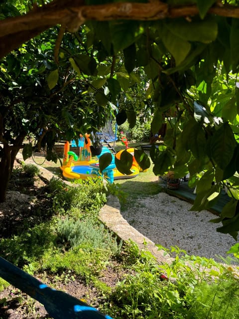 Children play ground, Garden