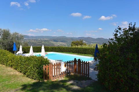 Garden, Pool view, Swimming pool