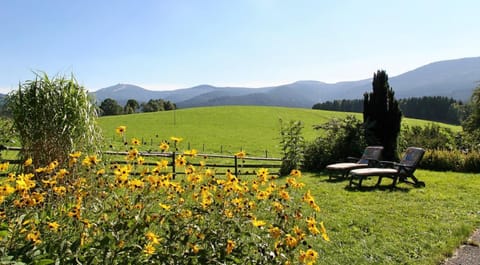 Natural landscape