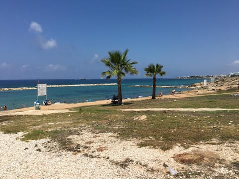 Day, Summer, Beach