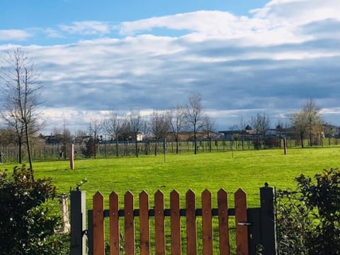 Activities, Children play ground, Garden, Banquet/Function facilities, Garden view