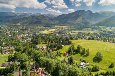 Bird's eye view, Mountain view