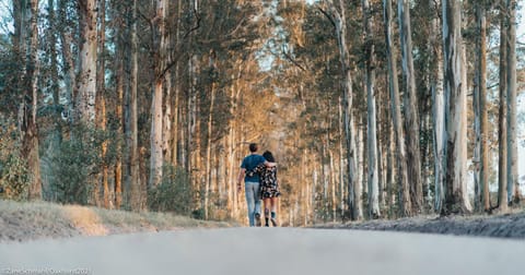 People, Natural landscape, Activities, Garden, Sunset