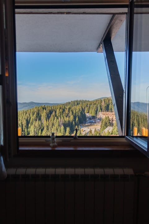 Top Lux Zupa Apartment in Serbia