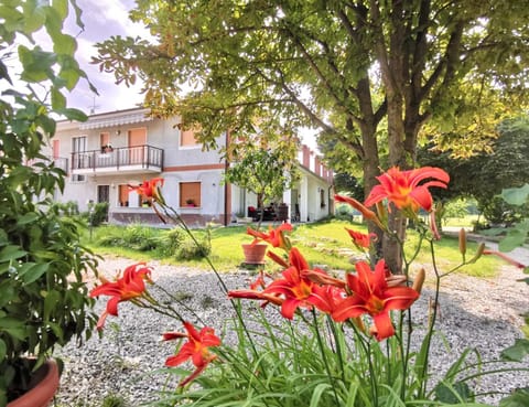 Spring, Garden view