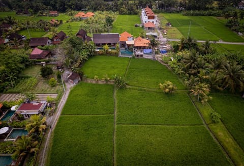 Property building, Spring, Day, Neighbourhood, Natural landscape, Bird's eye view, Garden, Garden view, Street view, Location