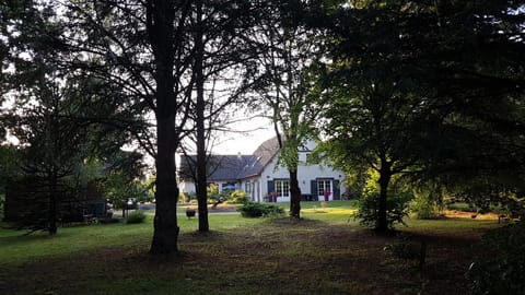 Property building, Natural landscape