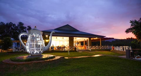 Restaurant/places to eat