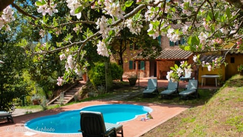 Property building, Garden, Swimming pool