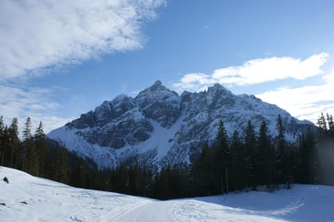 Haus Saxer Apartment in Tyrol