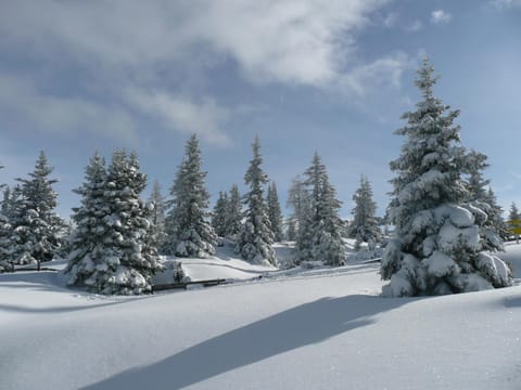 Haus Saxer Apartment in Tyrol