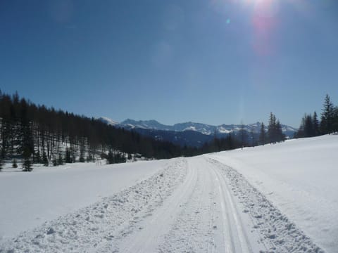 Haus Saxer Apartment in Tyrol
