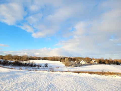 Property building, Winter