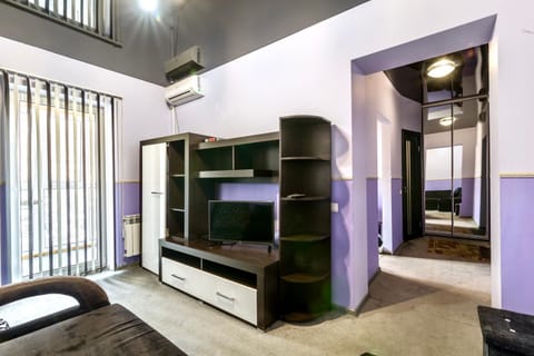TV and multimedia