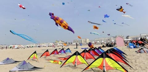 Appartement proche Mer Apartment in Berck