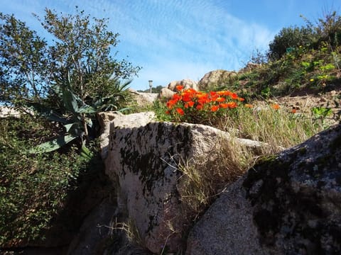 Casa Myrta 3 étoiles House in Porto-Vecchio