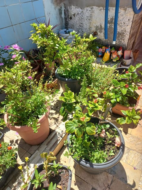 Vilmar suítes Campground/ 
RV Resort in State of Rio de Janeiro